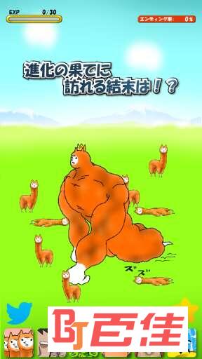 兄贵草泥马2