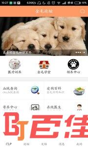 金毛论坛