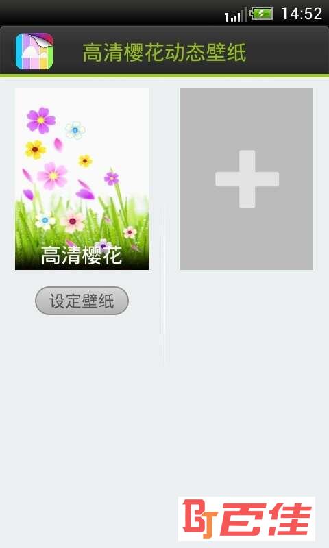 高清樱花动态壁纸