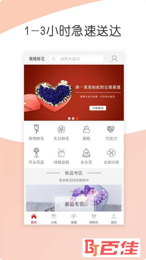 娟蝶鲜花