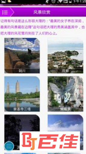 大理信息网