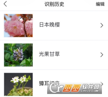 识花app(植物识别)