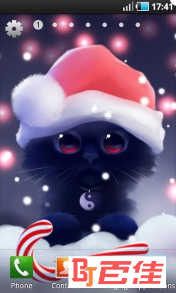 萌猫咪动态壁纸