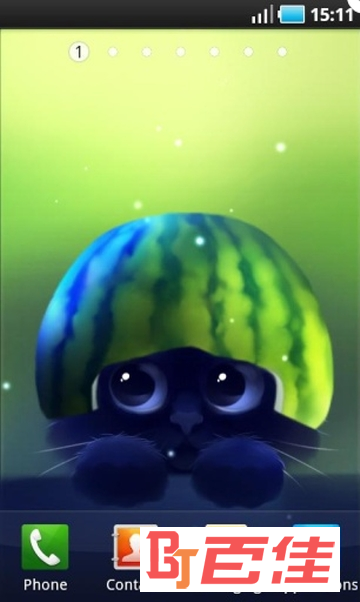 萌猫咪动态壁纸