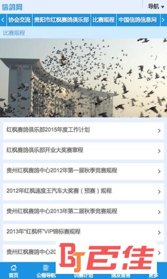 甘肃信鸽网