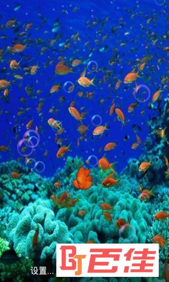 3D海底世界动态壁纸软件