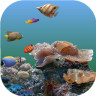 3D海底世界动态壁纸软件