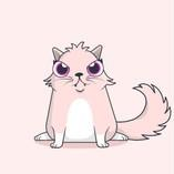 cryptokitties