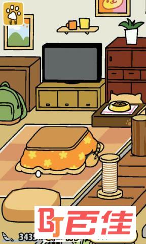 猫咪后院