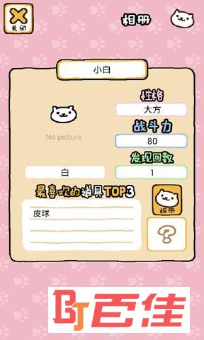 猫咪后院