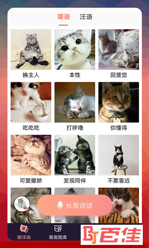 猫语翻译器