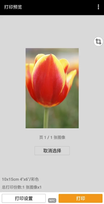 Canon PRINT Inkjet/SELPHY(佳能移动打印APP)