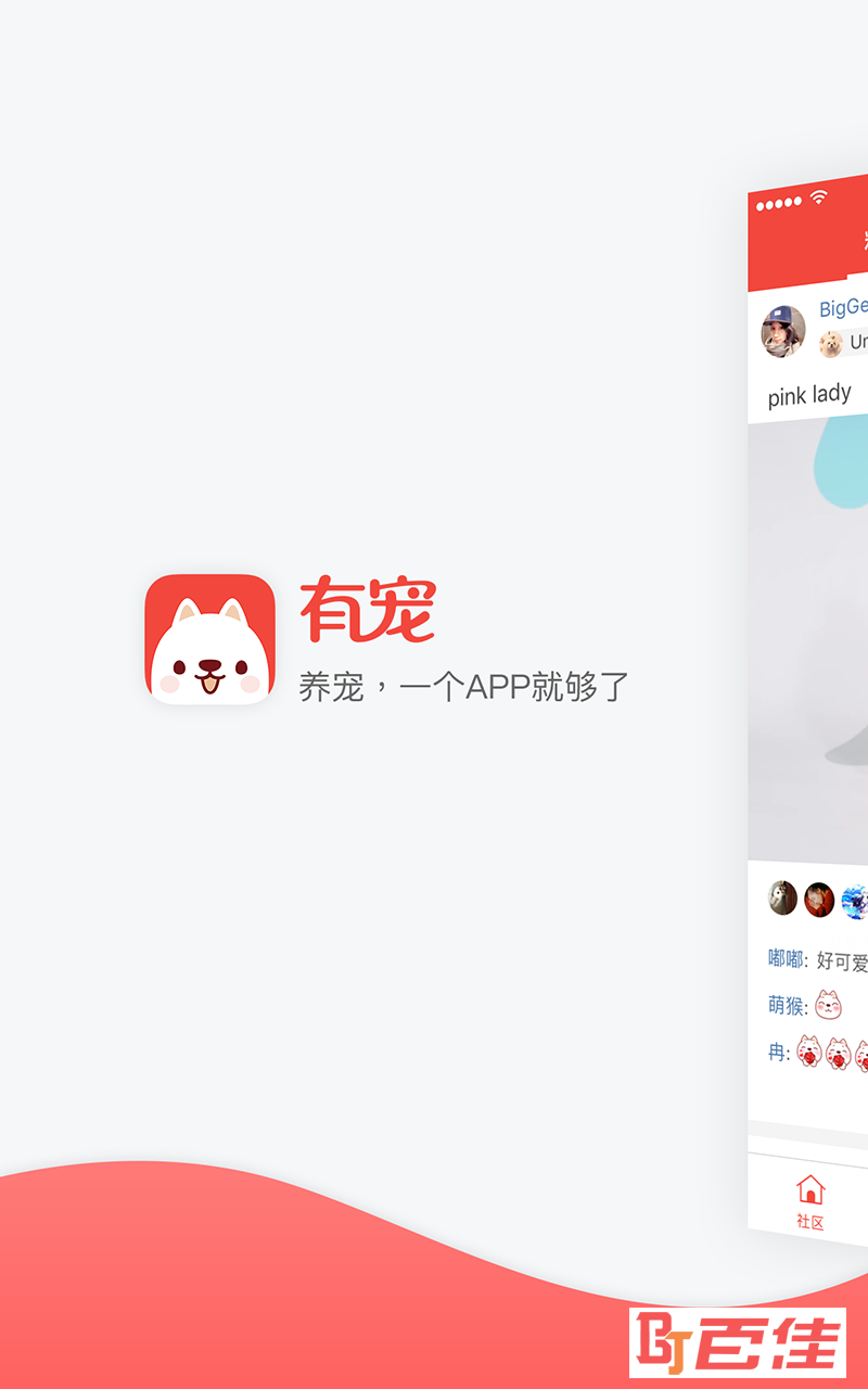 有宠