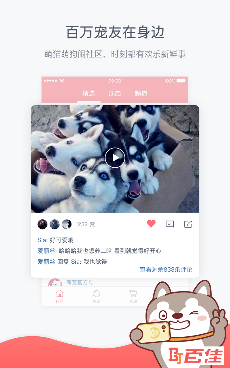 有宠