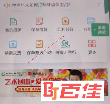 中国人寿寿险APP下载