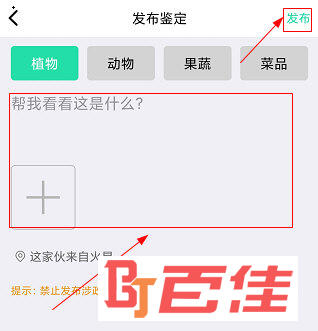 识物APP