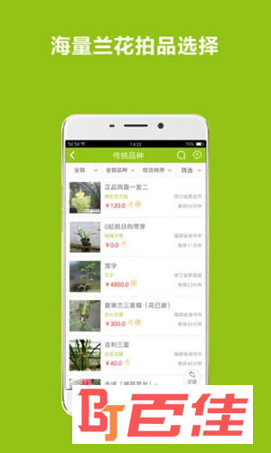 兰花交易网APP