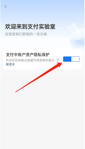 《支付宝》账户资产隐藏保护开启方法
