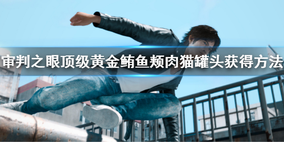 《审判之眼死神的遗言重制版》顶级黄金鲔鱼颊肉猫罐头
