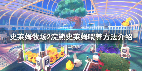 《史莱姆牧场2》浣熊史莱姆如何喂养？浣熊史莱姆喂养方法
