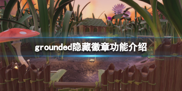 《禁闭求生》隐藏徽章获取的方法 