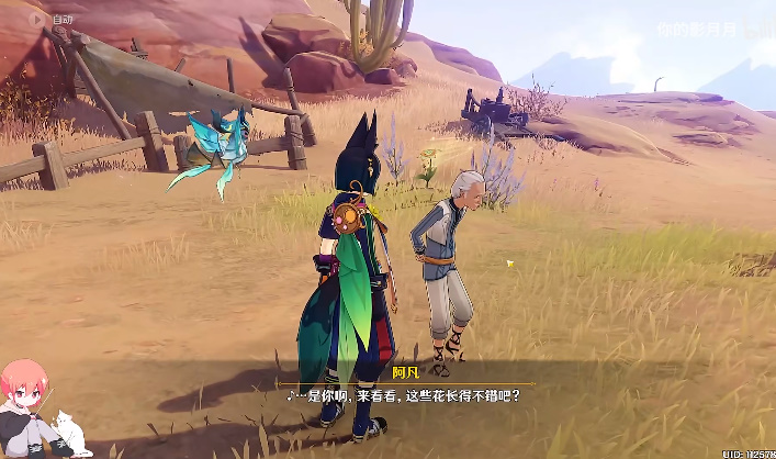 《原神》金蔷薇后续隐藏任务图文流程