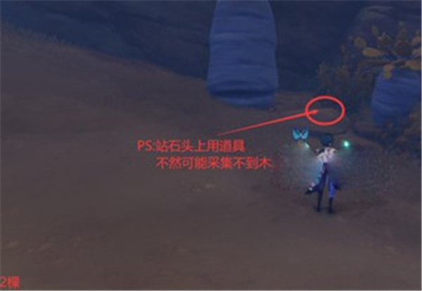 《原神》刺葵木采集路线汇总