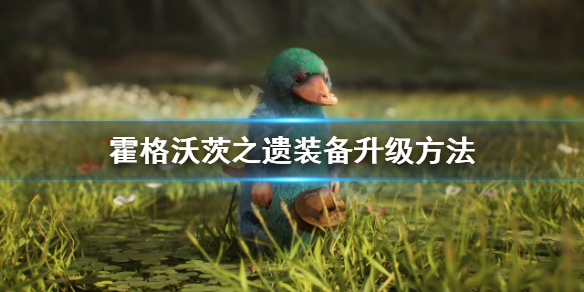 霍格沃茨之遗装备等级怎么提升