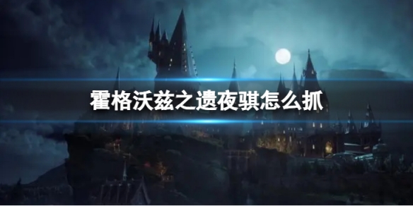 《霍格沃兹之遗》夜骐要在哪里抓