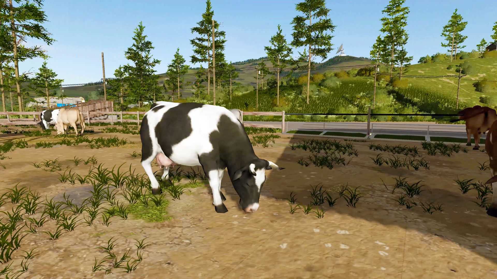 模拟农场2013