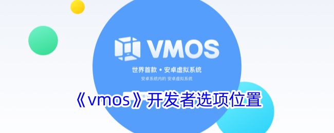 vmos开发者选项是什么